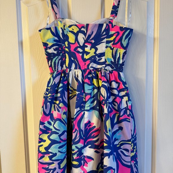 NEW WITH TAGS- Lilly Pulitzer Christine dress size 00 - Picture 5 of 7